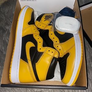 Pollen OG Retro 1 Size 9 Deadstock authentic